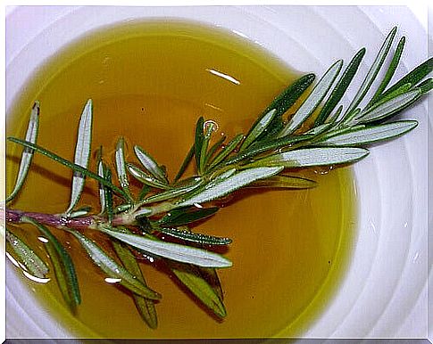 Rosemary and olive oil for perfect facial skin