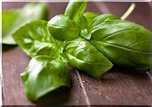 Basil to lower your cholesterol levels