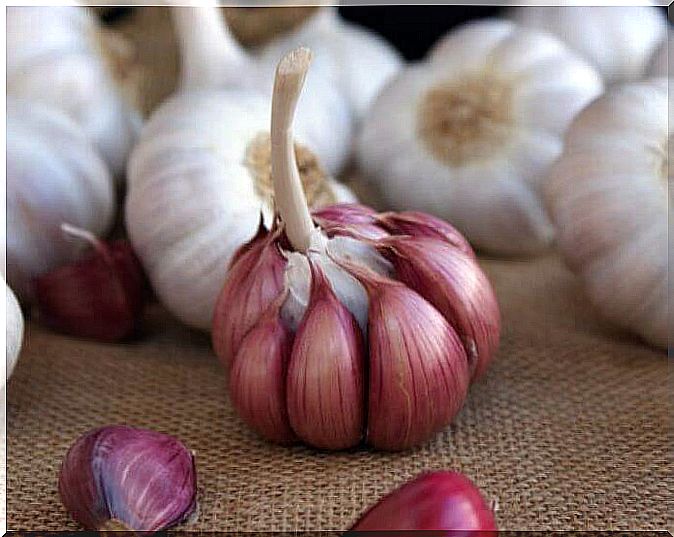 Garlic to lower your cholesterol levels