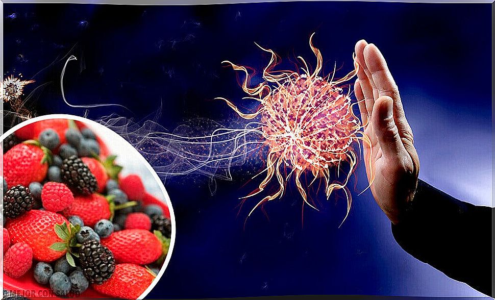 Strengthen your immune system with these 9 foods