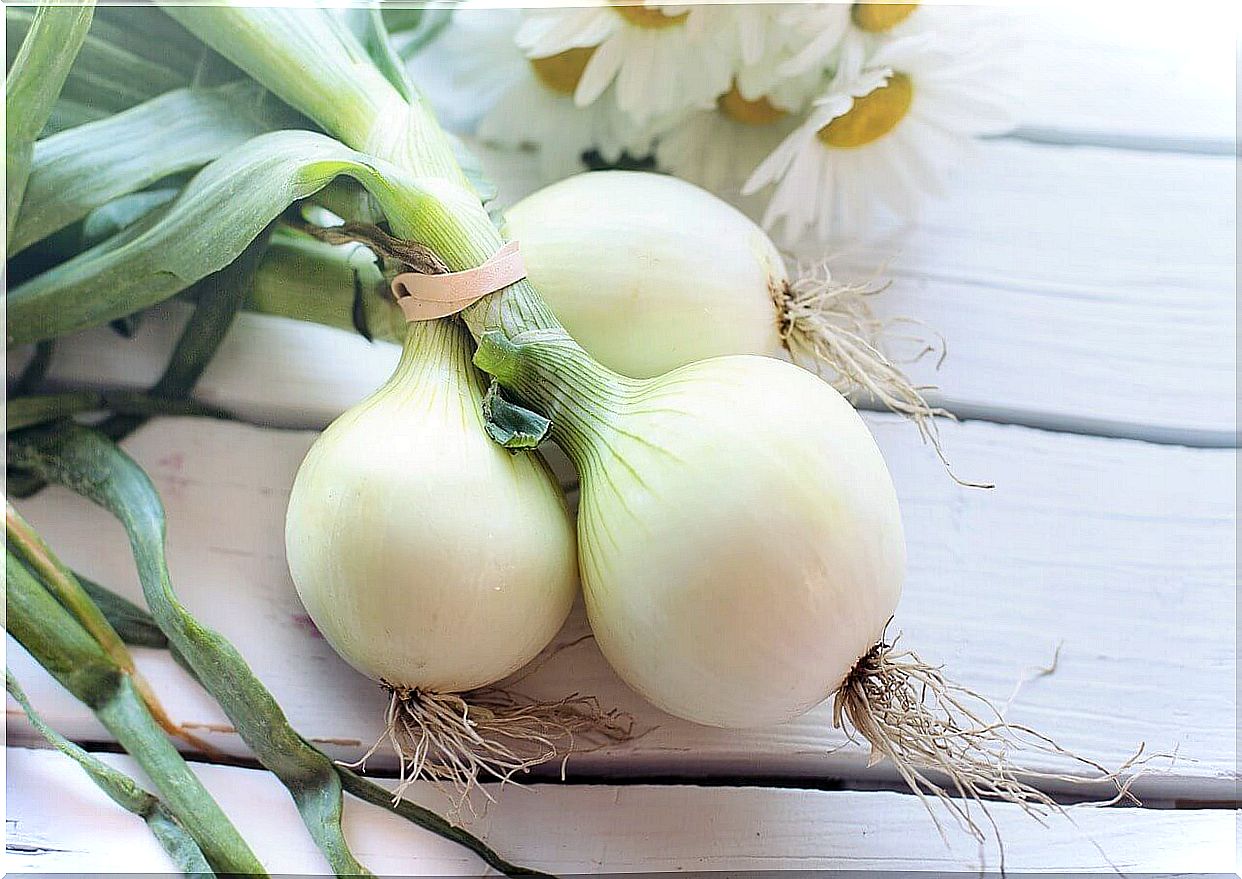 Strengthen your immune system with onion
