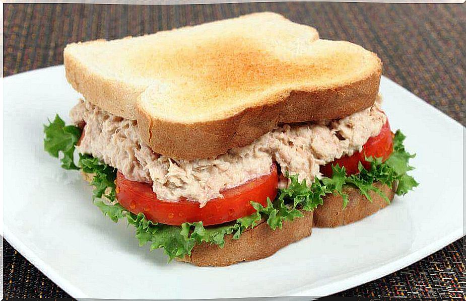 Delicious recipes for a tuna sandwich