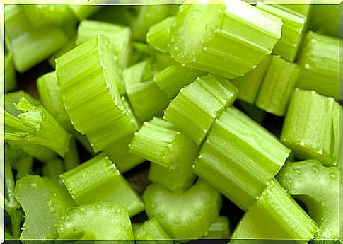 Pieces of celery to lose weight