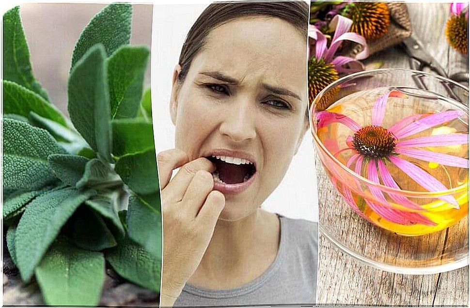 Fight gum disease with these 5 natural remedies