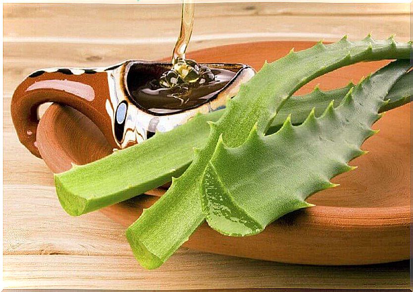 Aloe vera and honey on a bowl