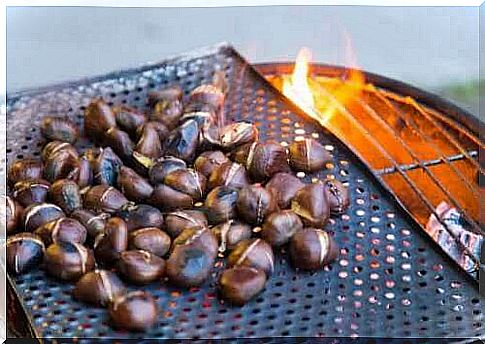 Roasted chestnuts on the barbecue
