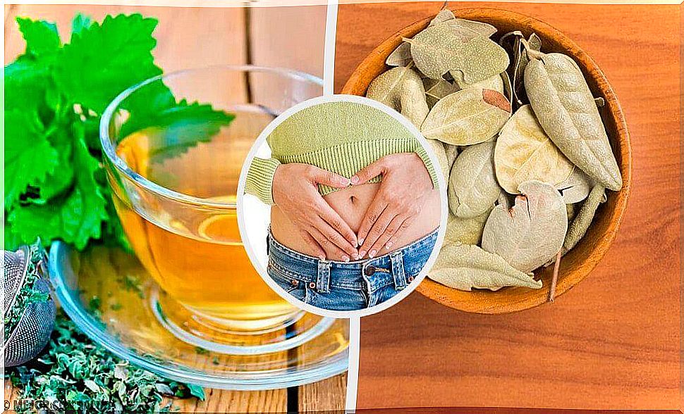 Improve Digestive Problems With Five Herbs