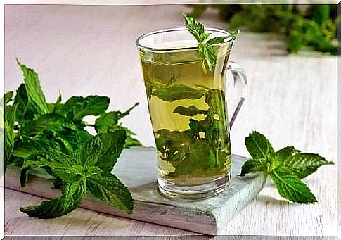 Mint for better digestion