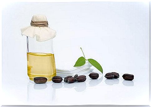 Moisturizing oils for oily skin
