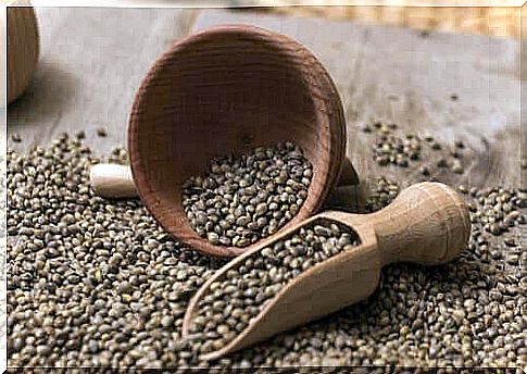 Hemp seeds with a wooden serving spoon