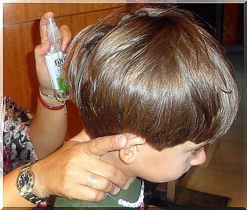 Spray against lice