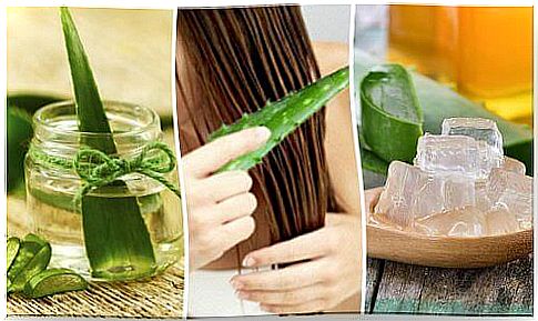 Different uses with aloe vera