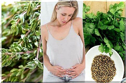 Six carminative herbs to get rid of gas