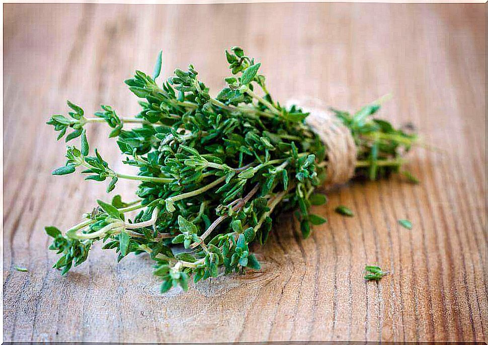 Thyme is one of the carminative herbs