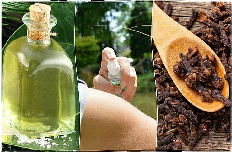 The 5 Best Homemade Insecticides