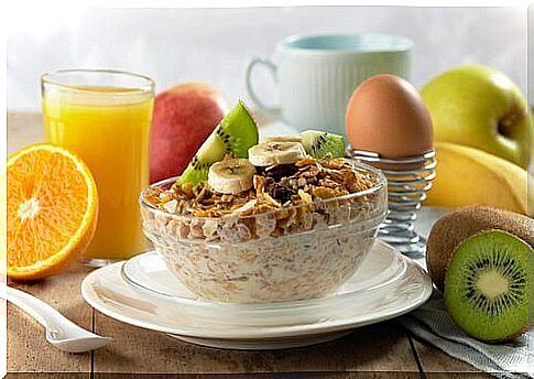 Breakfast recipes to lose weight