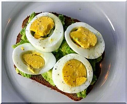Breakfast to lose weight with avocado and egg