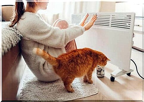 Woman and her cat near electric heating