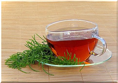 Treating Varicose Veins With Horsetail Tea
